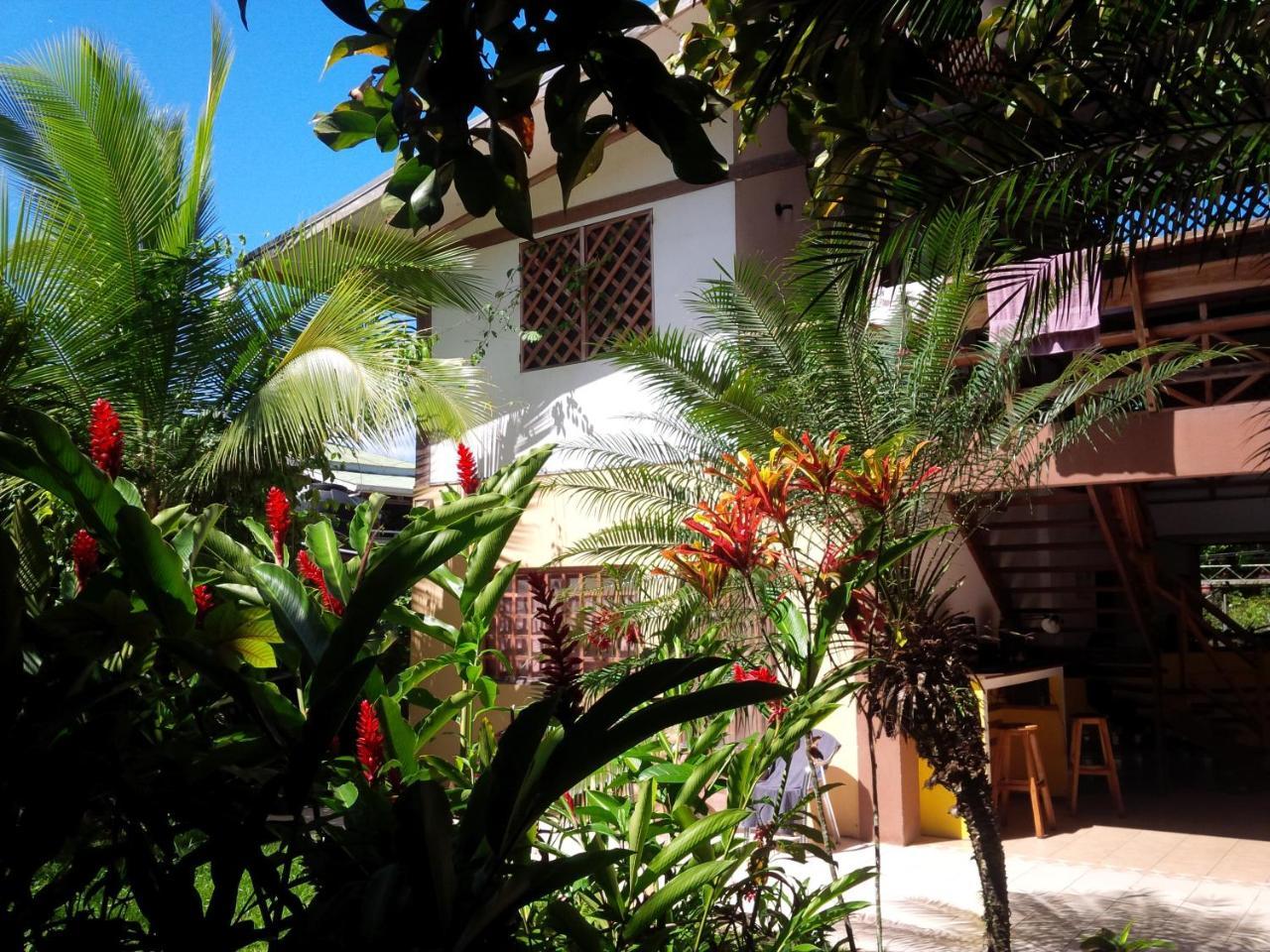 Pagalu Hostel Puerto Viejo de Talamanca Exterior photo